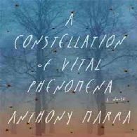 A Constellation of Vital Phenomena by Marra