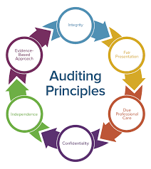 Efficient Auditing Process for Company Financial Status