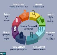 Eriksons Psychosocial Stage Development Theory