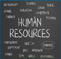 Human Resource Professionals and Management