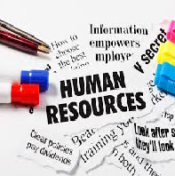 Human Resources Management Essay Paper