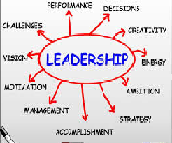 Importance of Team Leadership Strategies
