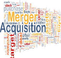 Merger Acquisition and International Business Strategies