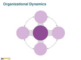 Organisational dynamics