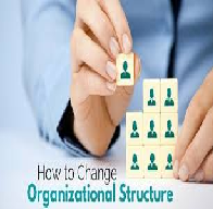 Organisational Change and Structural Design