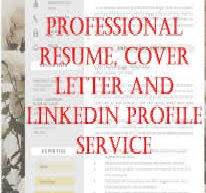 Professional Resume and Cover Letter
