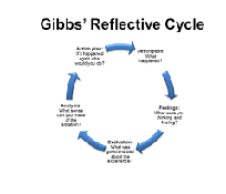 Reflective Essay Using Gibbs Reflective Cycle
