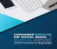 Social Media Consumer Insight Report