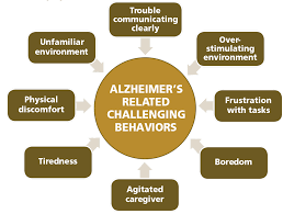 Supporting a Safe Environment for Alzheimers