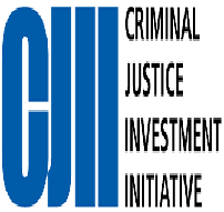 Synthesizing Information and Criminal Justice