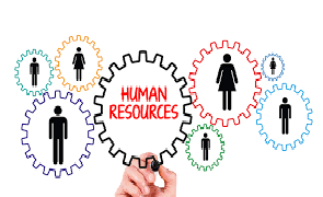 The Human Resource Management