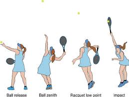Anatomical Analysis of Tennis Serve