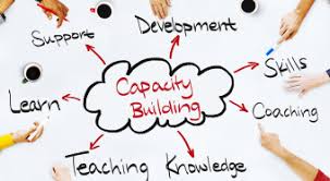 Evaluation Capacity Building, Organizational Capacity
