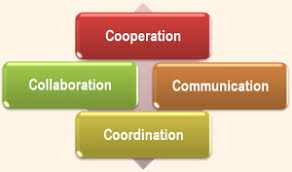 Improve communication and coordination