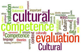 Challenges of Implementing Cultural Competence