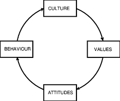 Influence of culture