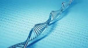 Evaluation of Genetic Data