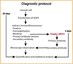 Protocol for Diagnosis, Management, and Follow-Up Care