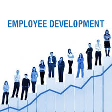 Employee Development Article Summary