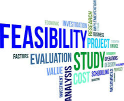 Use of Feasibility Studies to Determine Potential Business Success