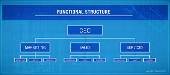 Functional organization types and their pros and cons