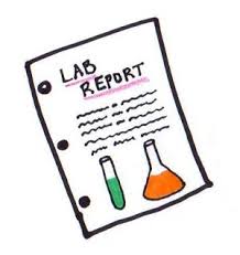Lab Report for Research