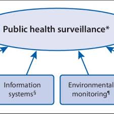 Governmental Challenges of Disease Surveillance
