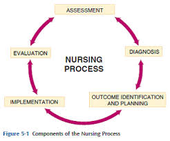 Application of the Nursing Process