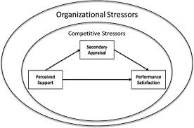 Organizational Stressors