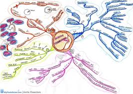 Pathophysiology Mind Map