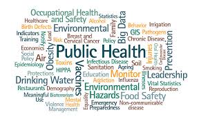 Public health Project Report