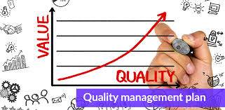 Project Risk and Quality Management Strategy