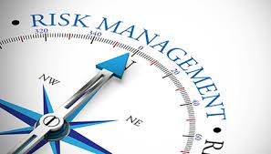 risk management case study in construction