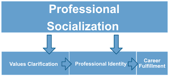 Professional Role Socialization Paper