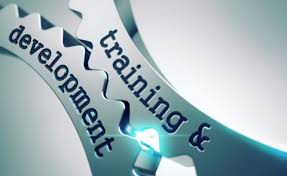 Approaches to Training and Development