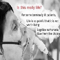 Euthanasia or Assisted Dying Issues 