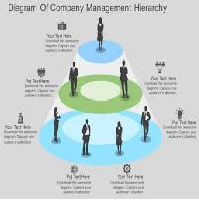 management hierarchy