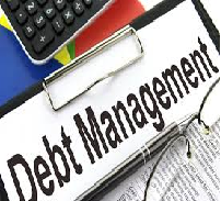 Capital Finance and Debt Management