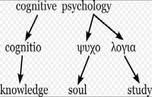 cognitive psychology literature review