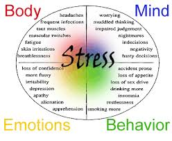 Impact of Stress on Physical and Mental Health