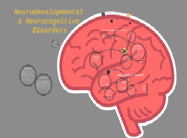 Neurodevelopmental and Neurocognitive Disorders