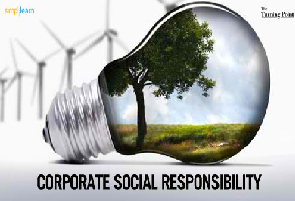 Socially Responsible Enterprises Finance Manager