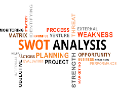 The SWOT Strategic Analysis of Project Target