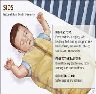 Tobacco Smoke SIDS Literature Review