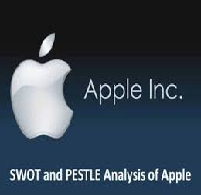 Apple Inc Company Analysis Paper