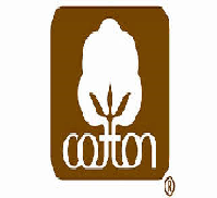 Consumer Perception of Cotton on the Global Market