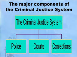 Criminal Justice Structure Of the American Court System