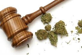 Marijuana laws and legalization