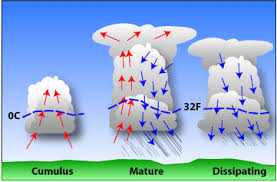 Development of an ordinary thunderstorm