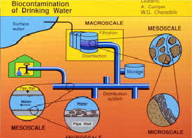 Drinking Water Distribution Systems